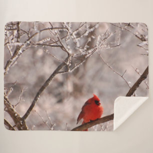 CARDINAL SHERPA BLANKET