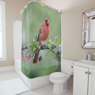 cardinal shower curtain