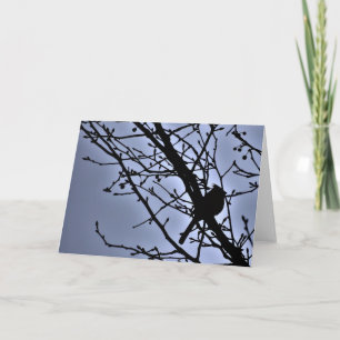 Cardinal Silhouette, carte
