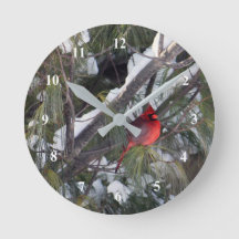 Cardinal Snow Pine Tree Photo