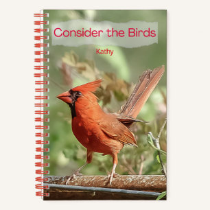 Cardinal spiral notebook for journalling and notes