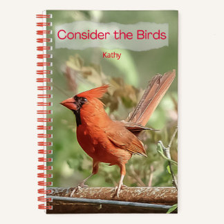 Cardinal spiral notebook for journalling and notes