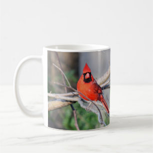 Cardinal Spring Woods Coffee Mug