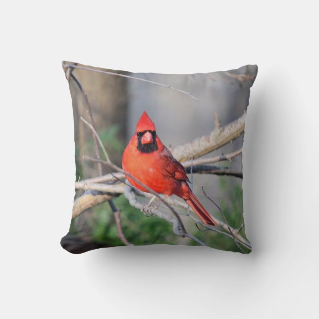Cardinal Spring Woods Throw Pillow (Front)