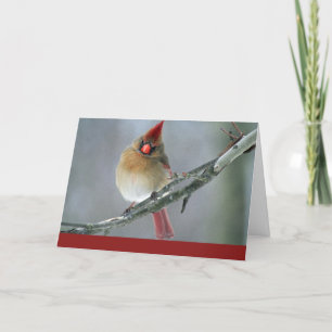 Cardinal Thinking of you Card