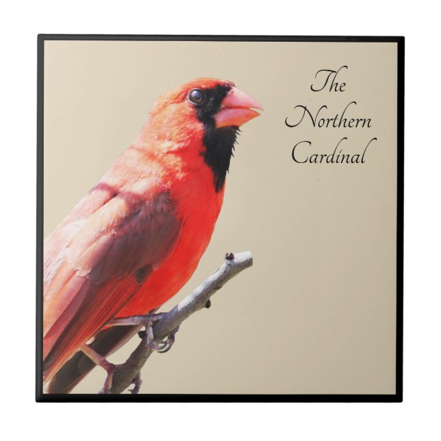 Cardinal Tile (Front)