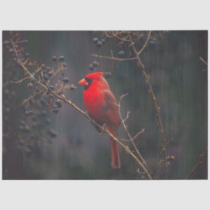 Cardinal Tissue Paper