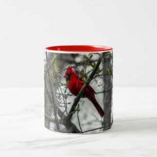 Cardinal Two-Tone Coffee Mug