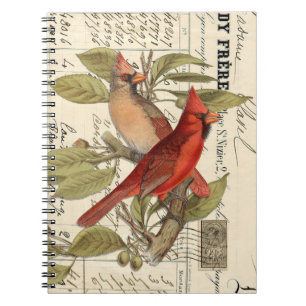 Cardinal Vintage French Spiral Journal Notebook