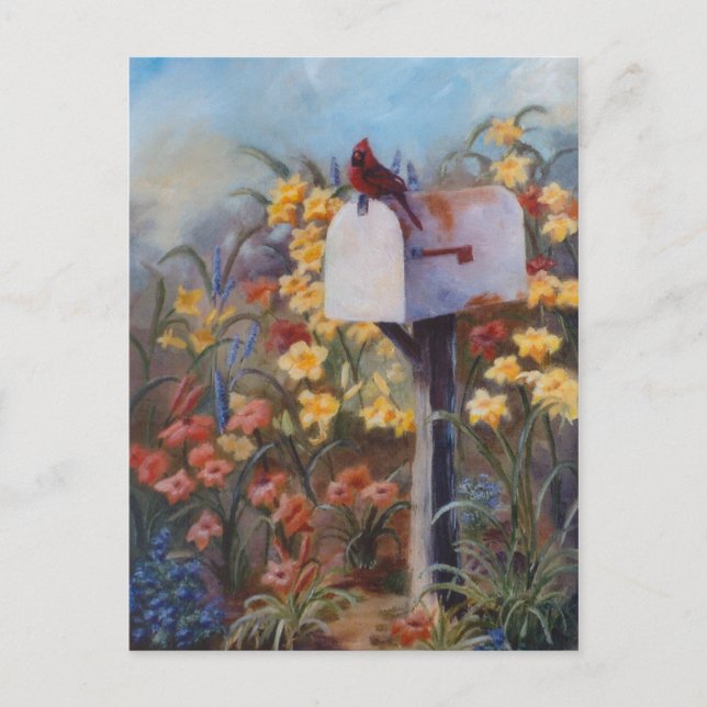 Cardinal Waiting For the Mail Postcard (Front)
