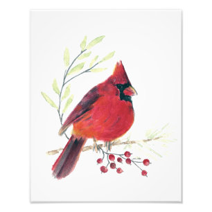 Cardinal Watercolor Photo Print