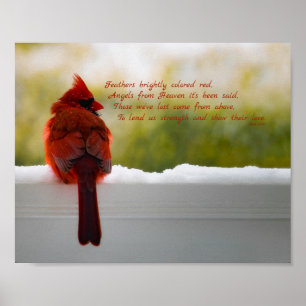 Cardinal with Visitor From Heaven poem 10x8 Poster