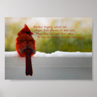 Cardinal with Visitor From Heaven poem 7x5