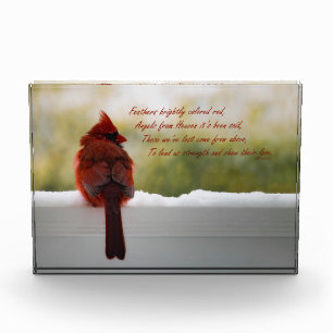 Cardinal with Visitor From Heaven poem Photo Block
