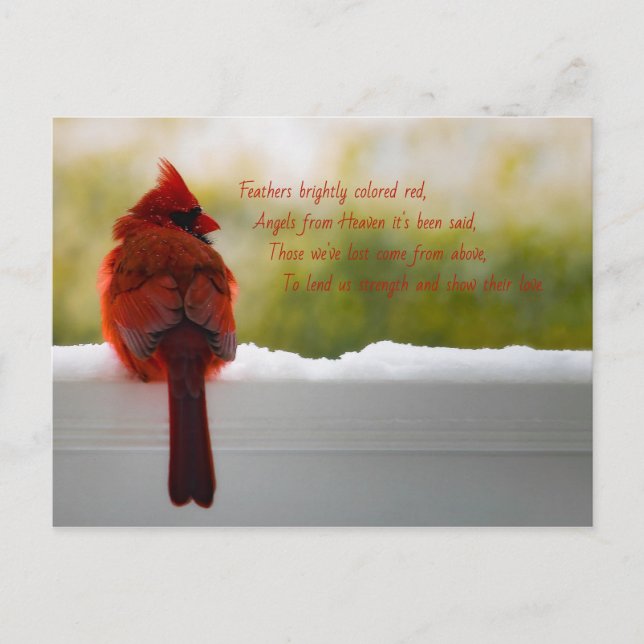 Cardinal with Visitor From Heaven poem Postcard (Front)
