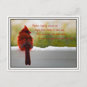 Cardinal with Visitor From Heaven poem Postcard
