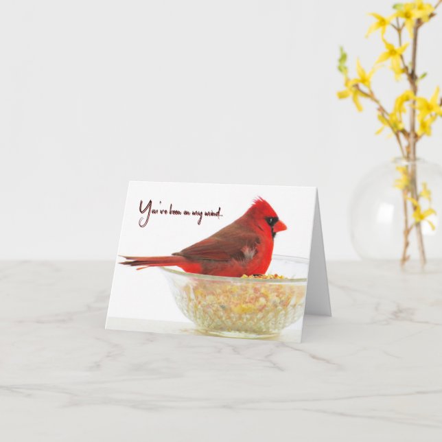 Cardinal - You've Been on My Mind - Blank Card (Yellow Flower)