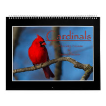 Cardinals 2017 Monthly Calendar By Thomas Minutolo