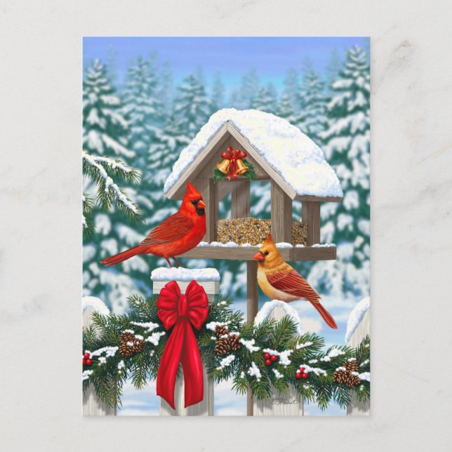 Cardinals and Christmas Bird Feeder Holiday Postcard (Front)