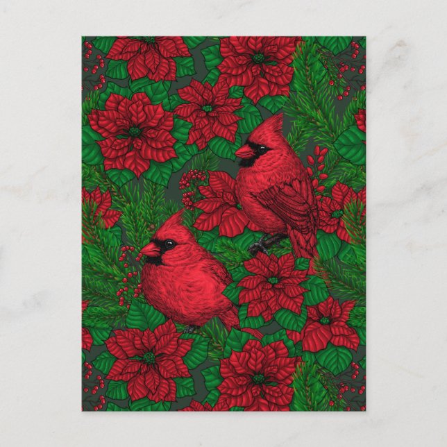Cardinals and poinsettia for Christmas Postcard (Front)