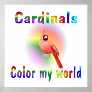 Cardinals Colour My World Poster