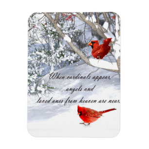 cardinals from heaven    magnet