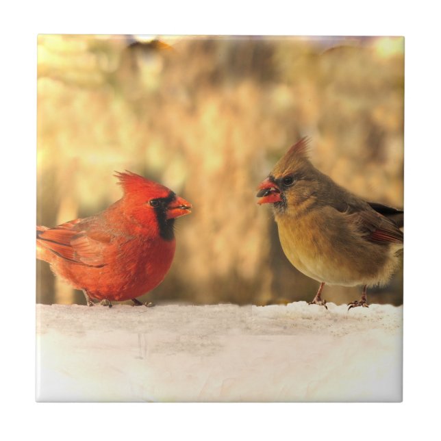 Cardinals in Autumn Ceramic Tile (Front)