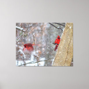 Cardinals in the Snow Canvas Print