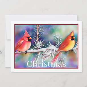 Cardinals on snowy branch budget Christmas Holiday Card