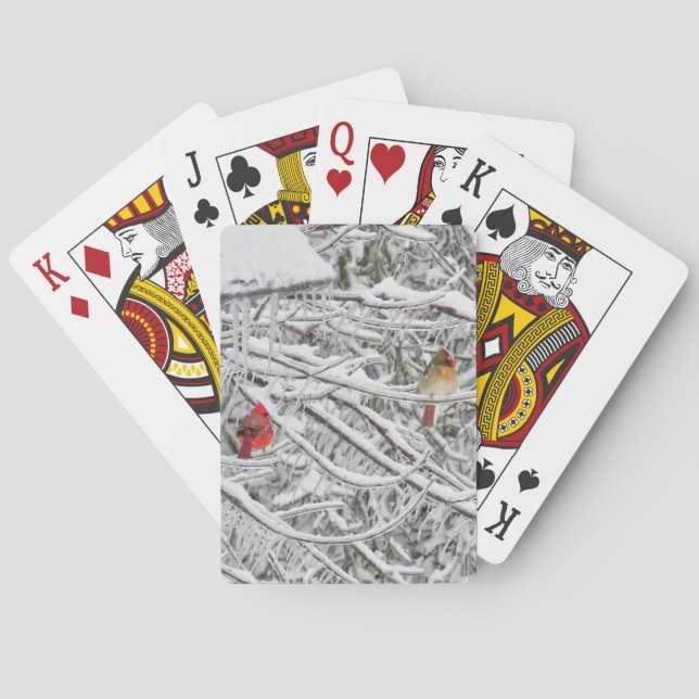 Cardinals Playing Cards (Back)