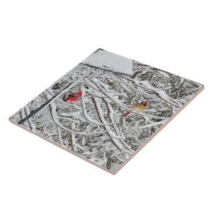 Cardinals Tile