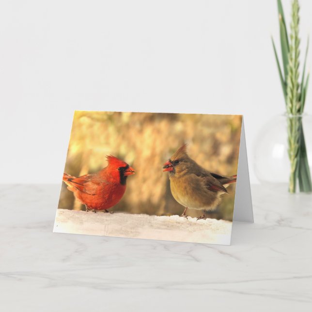 Cardinaux dans des cartes de voeux d'automne (Devant)