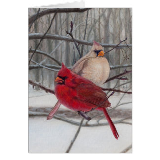 Cardinaux dans la carte vierge de neige