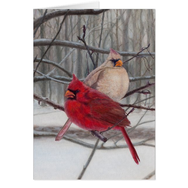 Cardinaux dans la carte vierge de neige (Devant)