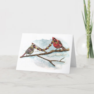 Cardinaux de Noël Carte Blanche