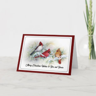 Cardinaux d'hiver Carte de Noël