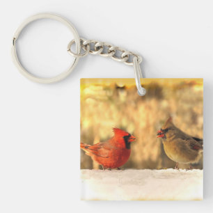 Cardinaux en automne