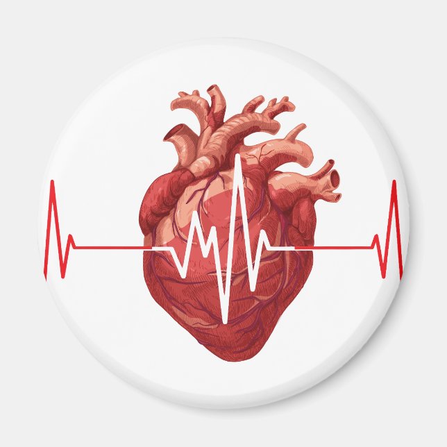 Cardiologist Heart Doctor Cardiology Echo Design Magnet (Front)