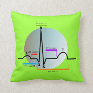 Cardiology Pillow QRS Segment
