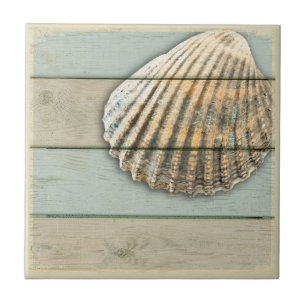 Cardita Shell Tile