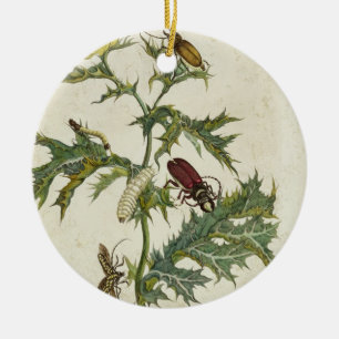 Cardos Spinosus: Beetles and Caterpillars, plate 6 Ceramic Ornament