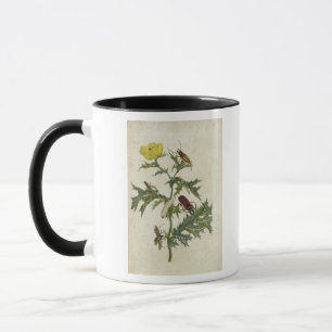 Cardos Spinosus: Beetles and Caterpillars, plate 6 Mug