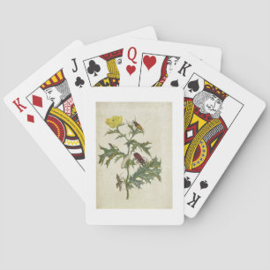 Cardos Spinosus: Beetles and Caterpillars, plate 6 Playing Cards