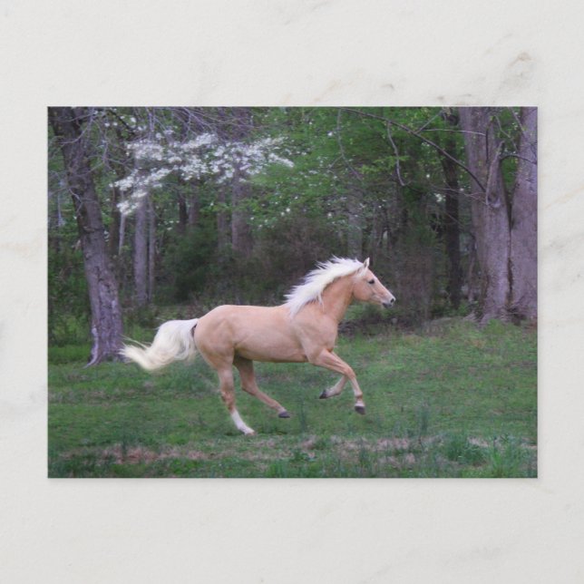 Care Free Postcard (Front)