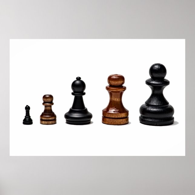 Career Path Poster (Front)