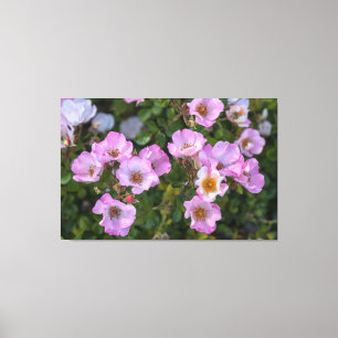 Carefree Delight  Canvas Print