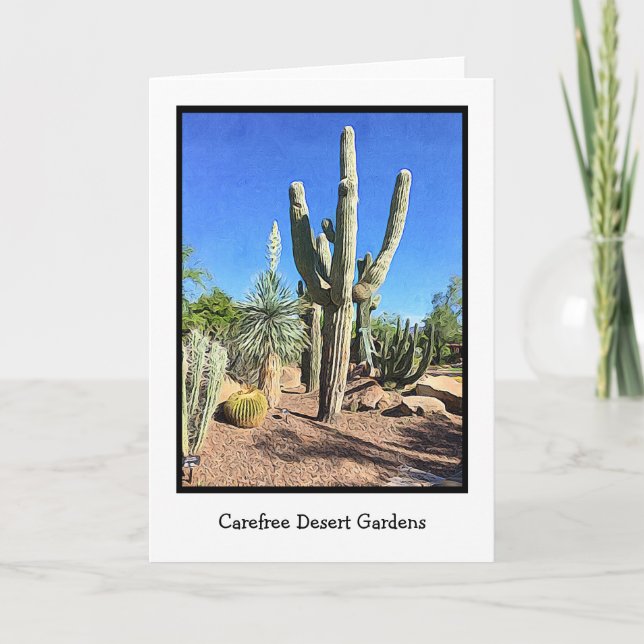 Carefree Desert Gardens Carte de voeux vierge (Devant)