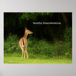 Careful Consideration - poster