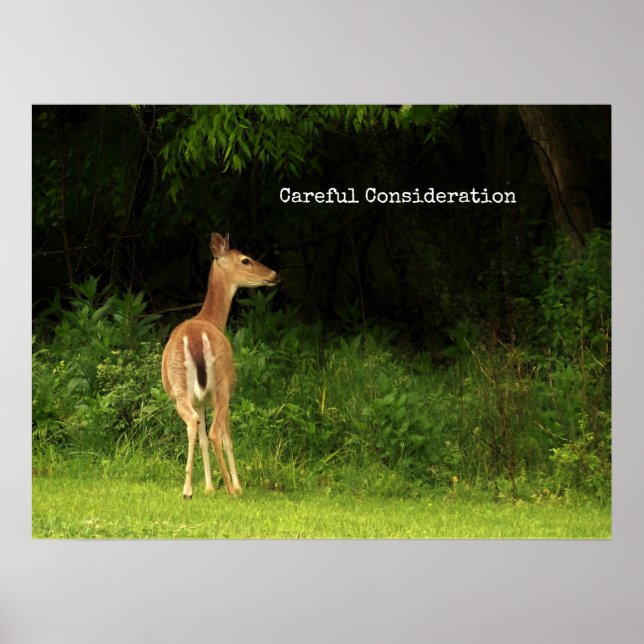 Careful Consideration - poster (Front)