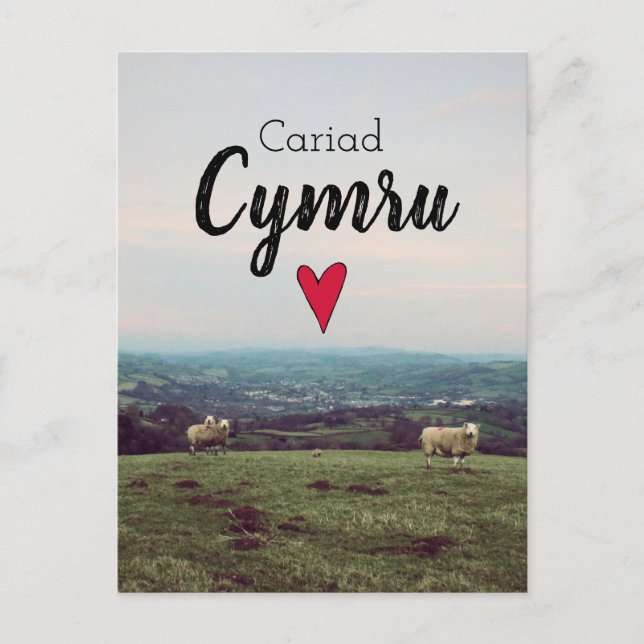 Cariad Cymru Vintage Wales Landscape Farm Sheep Postcard (Front)